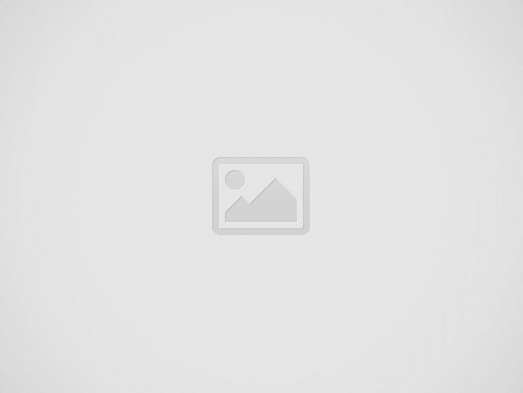 Template pour WordPress